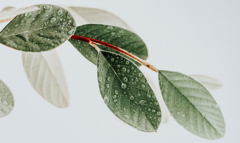 Get the Most out of Simplify by Money Flow | 5